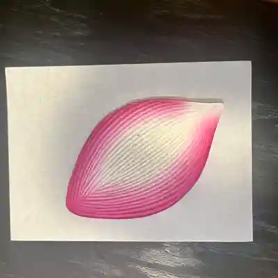 普賢寺(東京都)