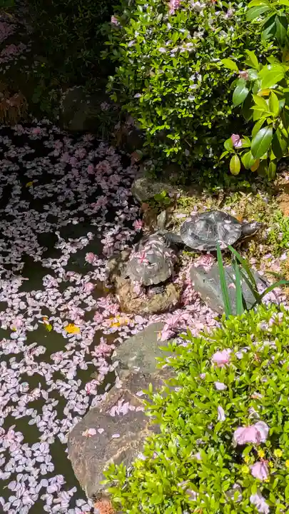 宝蔵寺(京都府)