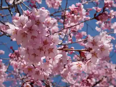 眞田神社(長野県)