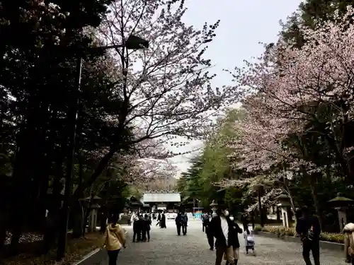 北海道神宮の景色