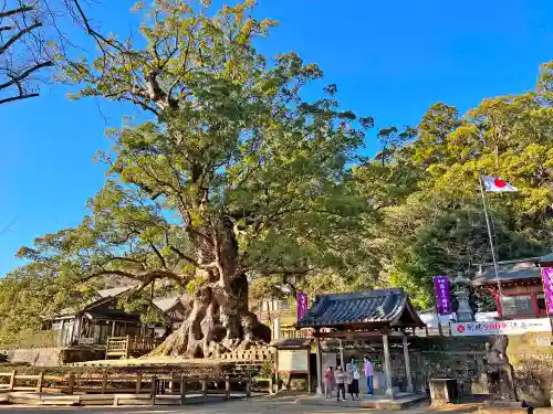 蒲生八幡神社(鹿児島県)