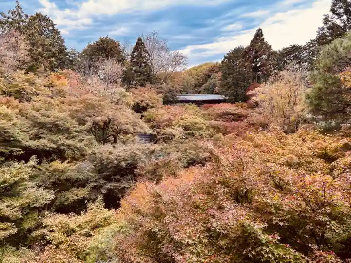 東福禅寺(東福寺)(京都府)