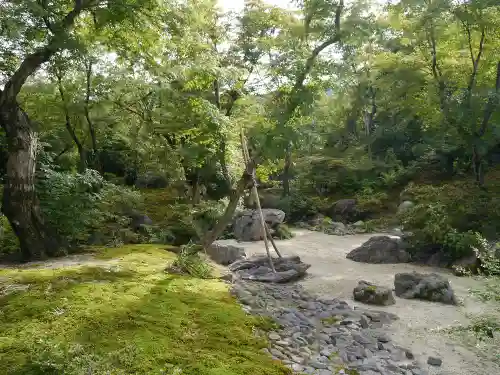 宝筐院の庭園