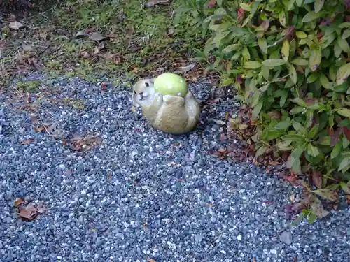 日蓮宗 総本山 塔頭 定林坊(じょうりんぼう)の狛犬