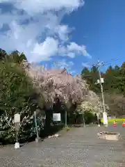 森友瀧尾神社の自然