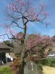 千手院(東京都)