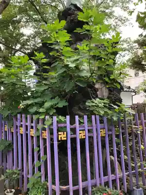 吉原弁財天本宮（吉原神社奥宮）のその他建物