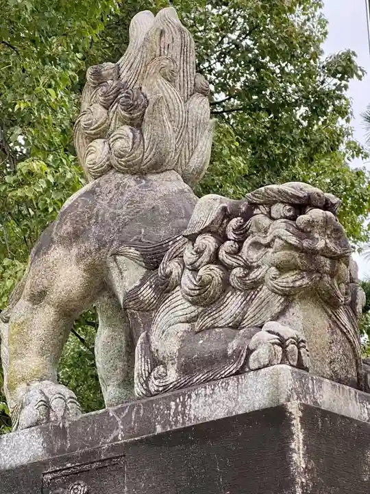 藤森神社の狛犬