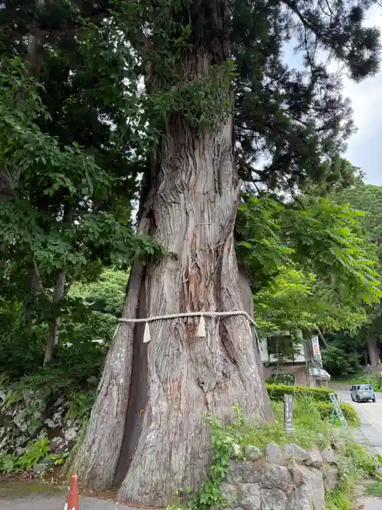 戸隠神社中社(長野県)