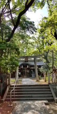 津守神社(大阪府)