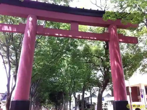 武蔵一宮氷川神社の鳥居