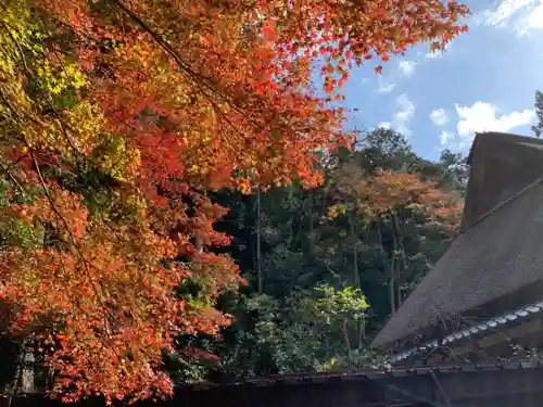 胡宮神社（敏満寺史跡）の自然