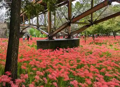 圓照寺(埼玉県)