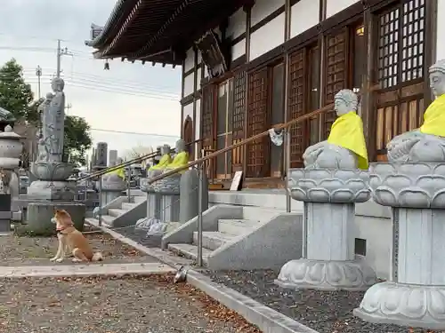 全東院の本殿