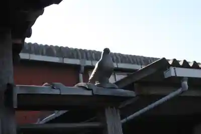 愛宕神社(滋賀県)