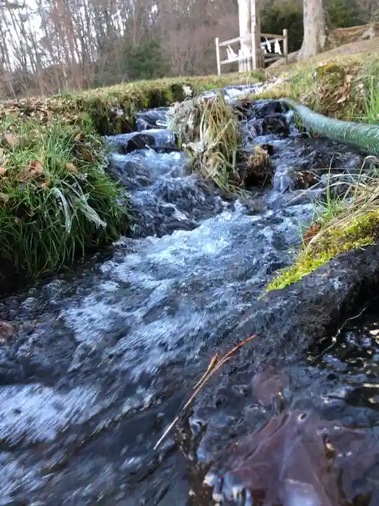 諏訪大社上社前宮の自然