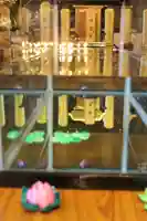 西方山極楽寺のその他建物