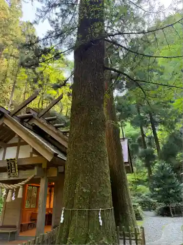 秋元神社(宮崎県)