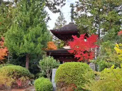 久米寺(奈良県)