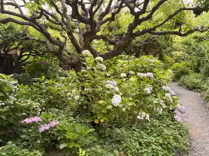 頼光寺(兵庫県)