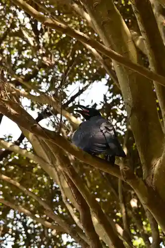 由良比女神社(島根県)