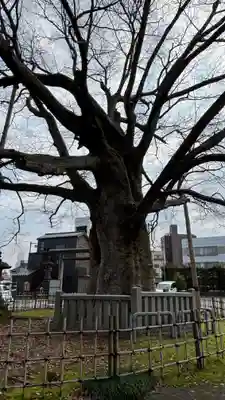 神明宮(石川県)