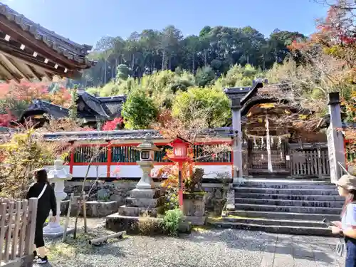 鍬山神社(京都府)
