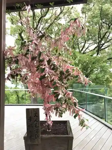 宝満宮竈門神社のおみくじ