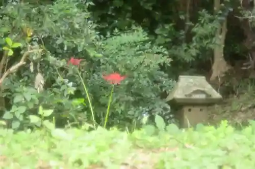 座間神社(神奈川県)