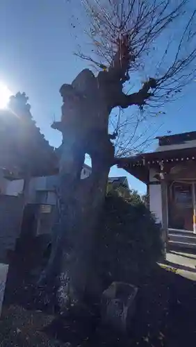 秋葉神社(東京都)
