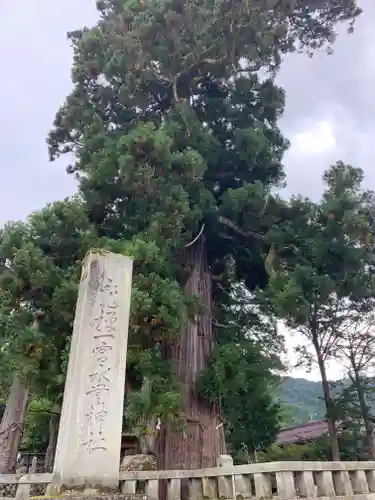 飛驒一宮水無神社の自然