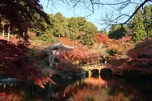 醍醐寺の庭園