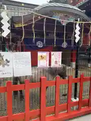 神田神社（神田明神）の動物