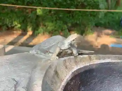 伊弉諾神宮の手水舎