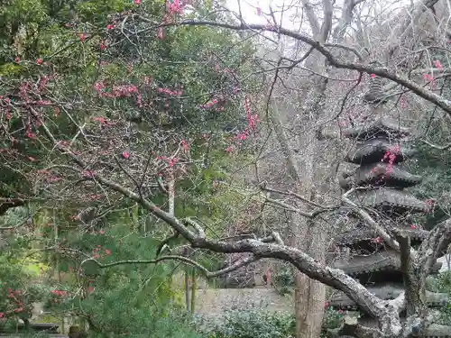 安國論寺（安国論寺）の庭園