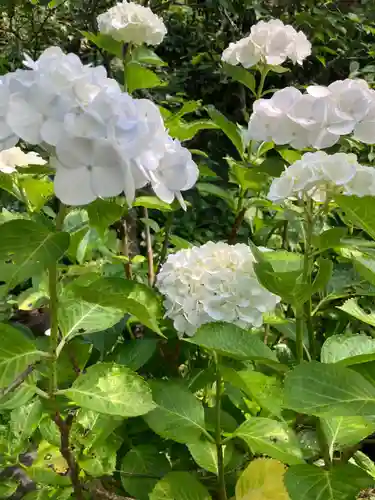 佛日庵(神奈川県)