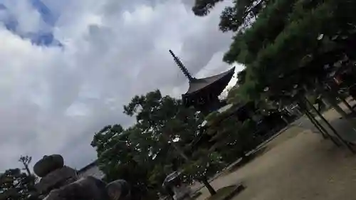 智恩寺(京都府)