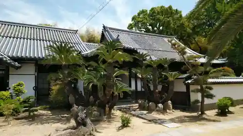 本蓮寺の本殿・本堂