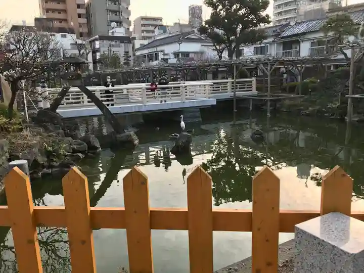 亀戸天神社(東京都)