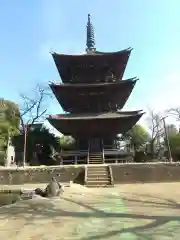 芝山仁王尊 観音教寺の建物その他