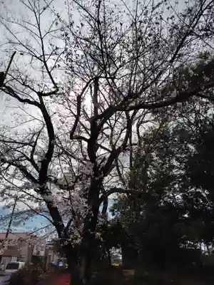  観音堂 (埼玉県)