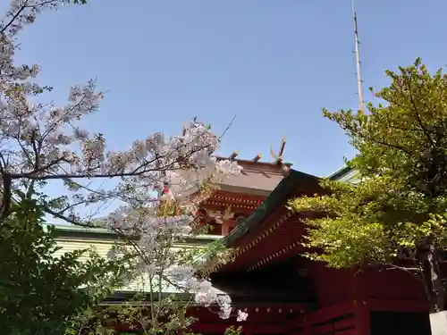 （芝生）浅間神社の本殿・本堂