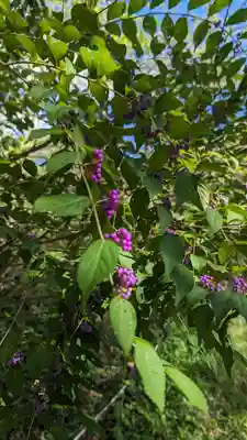 平野神社(京都府)