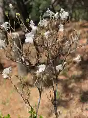 大生郷天満宮の自然