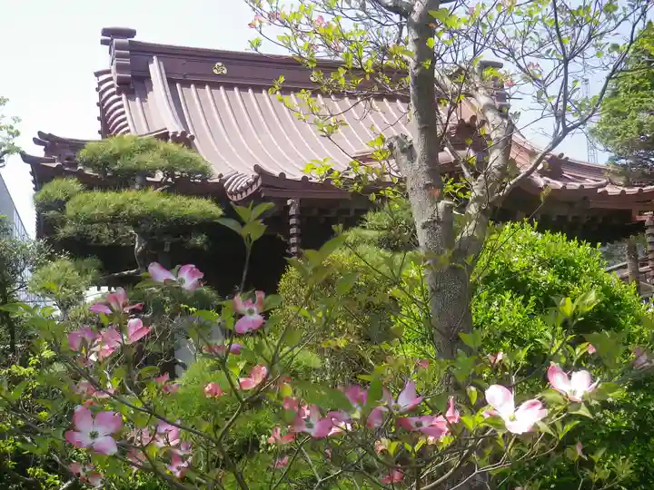 大巧寺の本殿・本堂