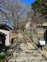男山八幡宮の{uncategorized: "未分類", other: "その他", undefined: "問題あり", building: "その他建物", grave: "お墓", sacred_gate: "鳥居", guardian: "狛犬", statue: "像", buddha: "仏像", history: "歴史", nature: "自然", garden: "庭園", animal: "動物", pagoda: "塔", temizu: "手水舎", mountain_gate: "山門・神門", sanctuary: "本殿・本堂", subordinate: "末社・摂社", art: "芸術", scenery: "景色", jizo: "地蔵", ema: "絵馬", goshuin: "御朱印", omikuji: "おみくじ", items: "授与品その他", amulet: "お守り", goshuincho: "御朱印帳", eats: "食事", festival: "お祭り", votive_dance: "神楽", shichigosan: "七五三参", wedding: "結婚式", experience: "体験その他", initially: "初詣", around: "周辺", anti_infection: "感染症対策"}