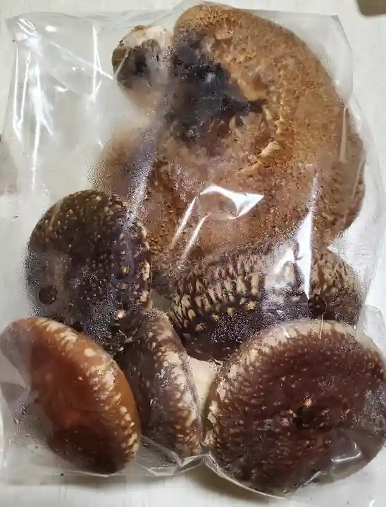 氷室山神社(里宮)(栃木県)