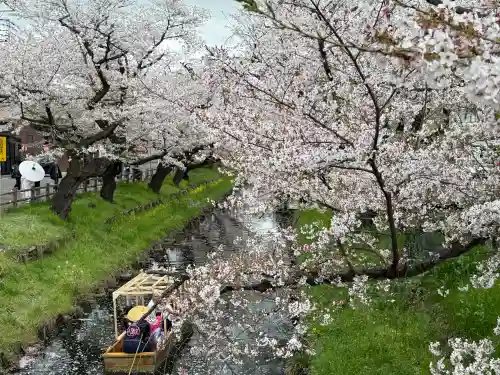川越氷川神社の{uncategorized: "未分類", other: "その他", undefined: "問題あり", building: "その他建物", grave: "お墓", sacred_gate: "鳥居", guardian: "狛犬", statue: "像", buddha: "仏像", history: "歴史", nature: "自然", garden: "庭園", animal: "動物", pagoda: "塔", temizu: "手水舎", mountain_gate: "山門・神門", sanctuary: "本殿・本堂", subordinate: "末社・摂社", art: "芸術", scenery: "景色", jizo: "地蔵", ema: "絵馬", goshuin: "御朱印", omikuji: "おみくじ", items: "授与品その他", amulet: "お守り", goshuincho: "御朱印帳", eats: "食事", festival: "お祭り", votive_dance: "神楽", shichigosan: "七五三参", wedding: "結婚式", experience: "体験その他", initially: "初詣", around: "周辺", anti_infection: "感染症対策"}