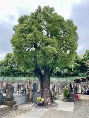 普門寺(神奈川県)