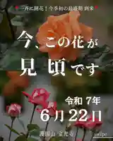 宝光寺(北海道)